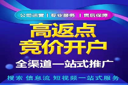 知名SEM运营公司实战案例解析
